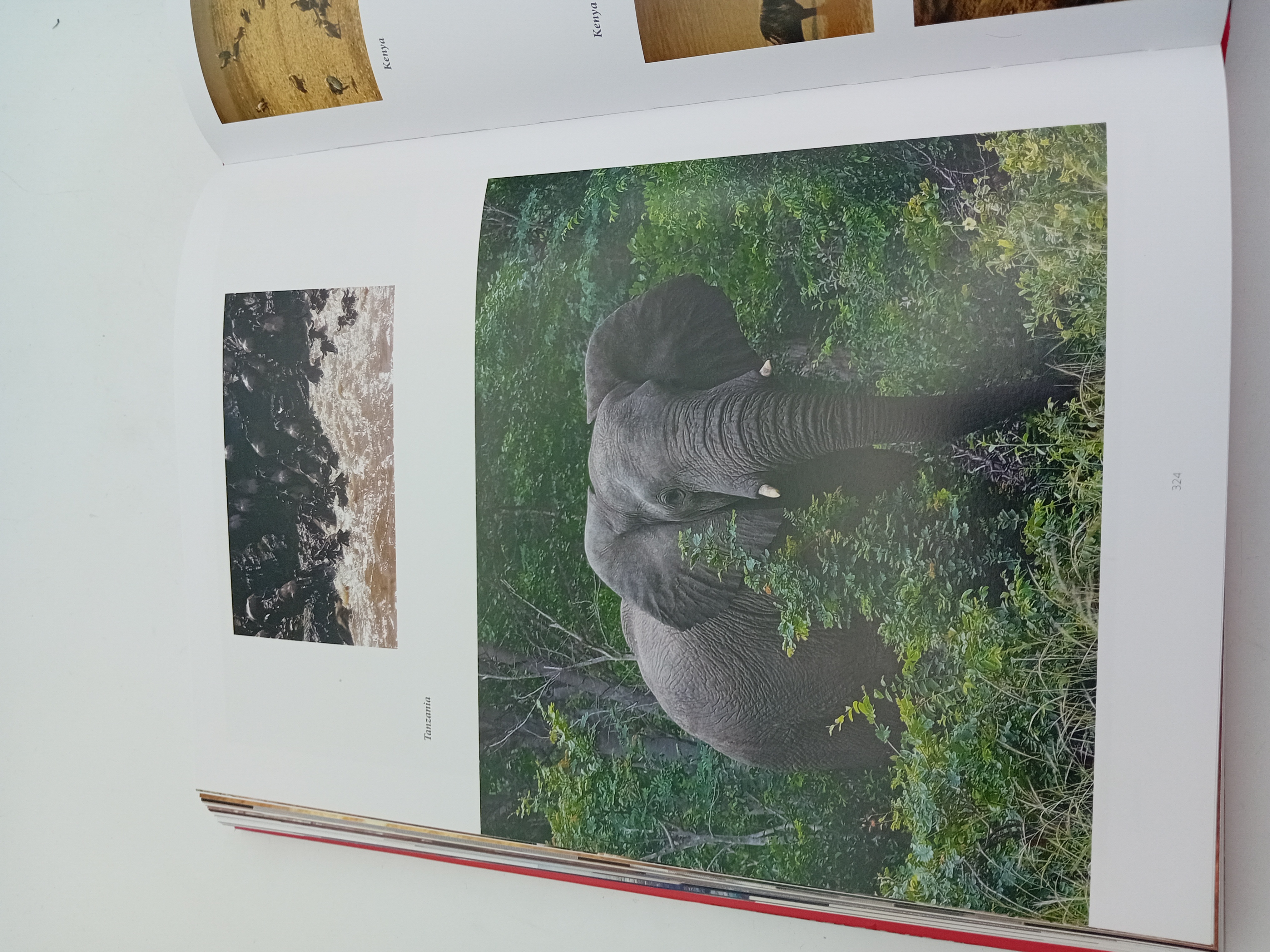 Livre D'art Kiro Urdin Planetarism Movement (BL908)
