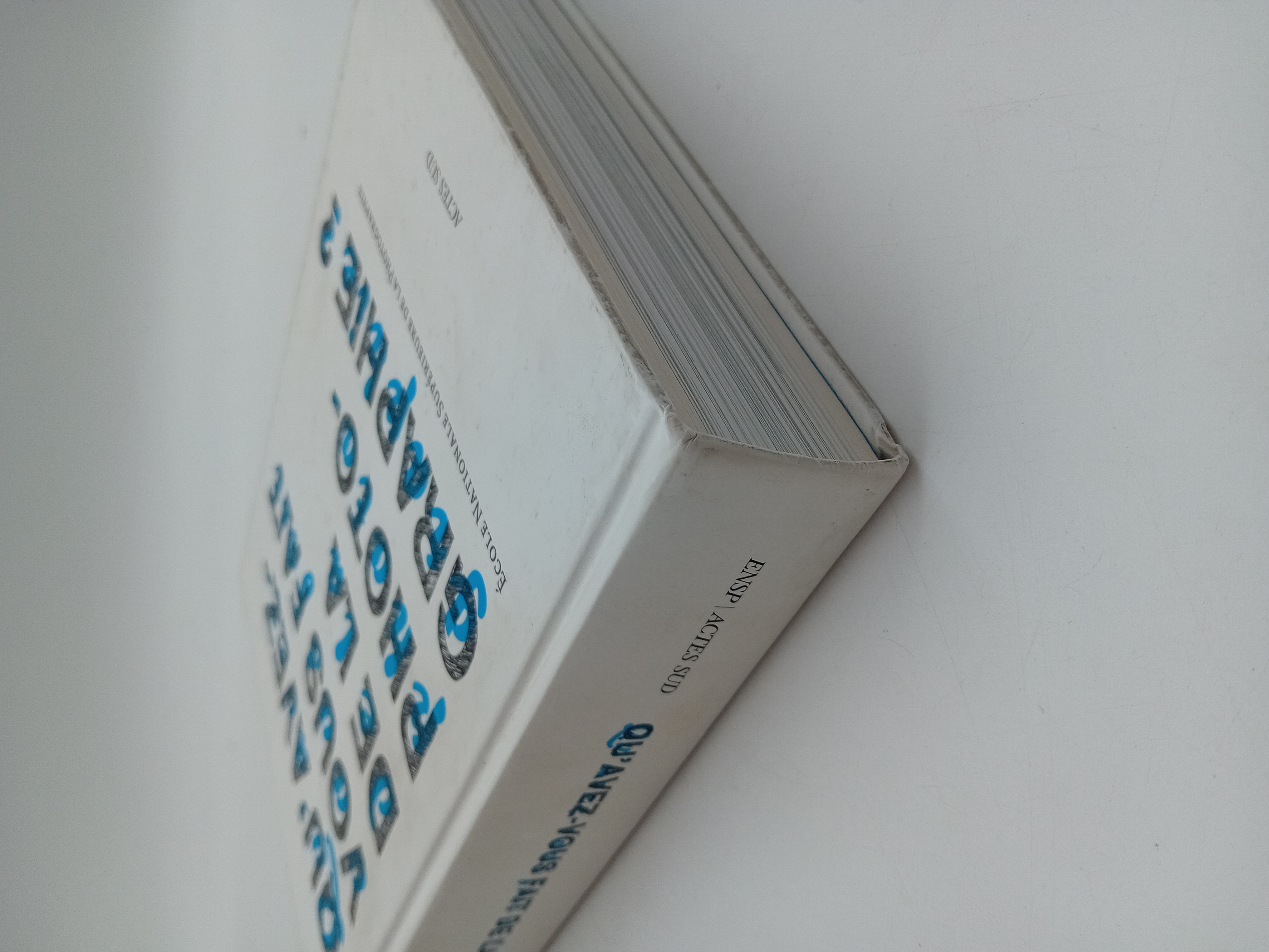Livre Qu'avez-vous Fait De La Photographie Actes Sud (BL912)