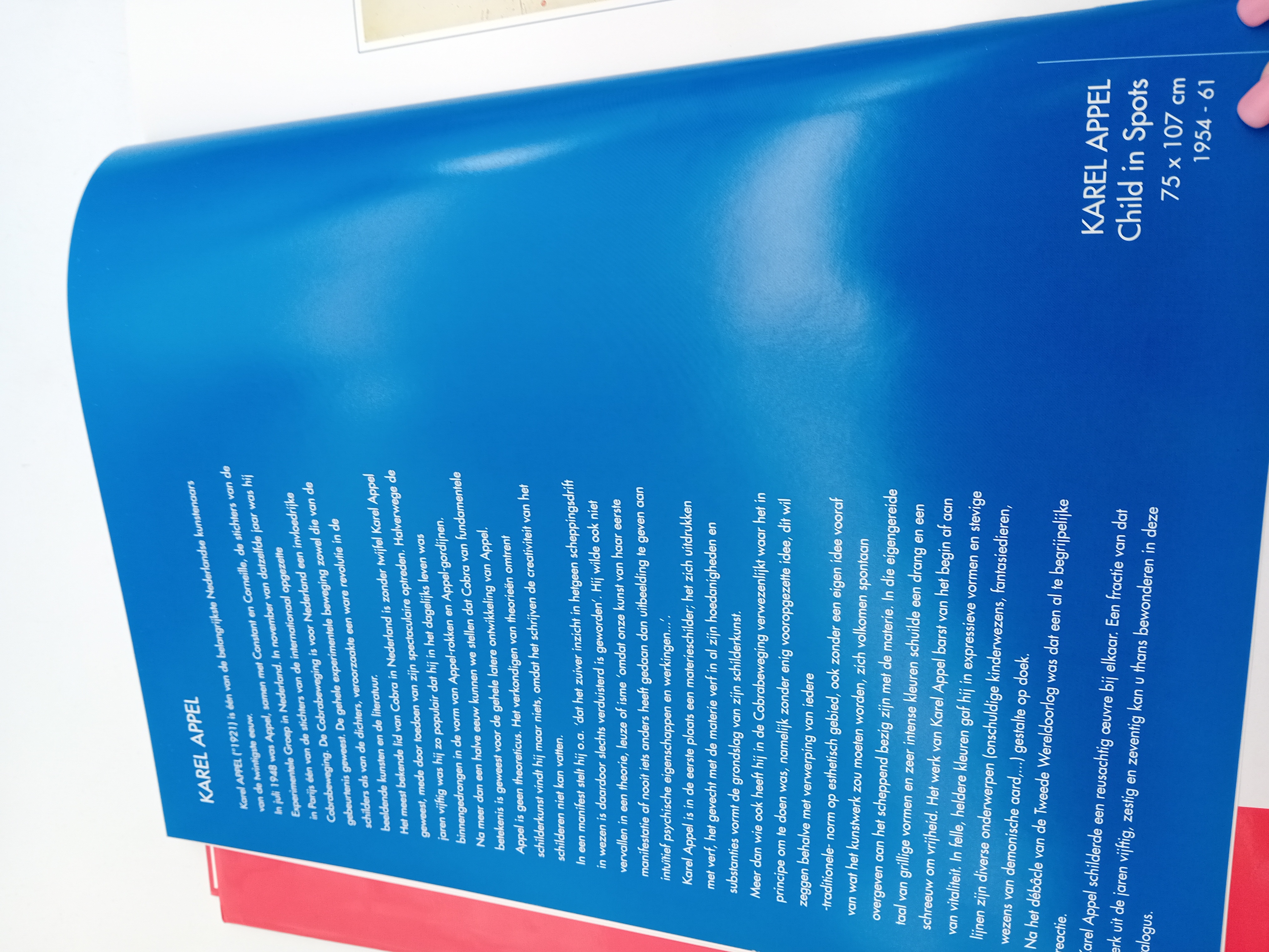 Livre D'art Cobra Special A Cry For Freedom Karel Appel (BL916)