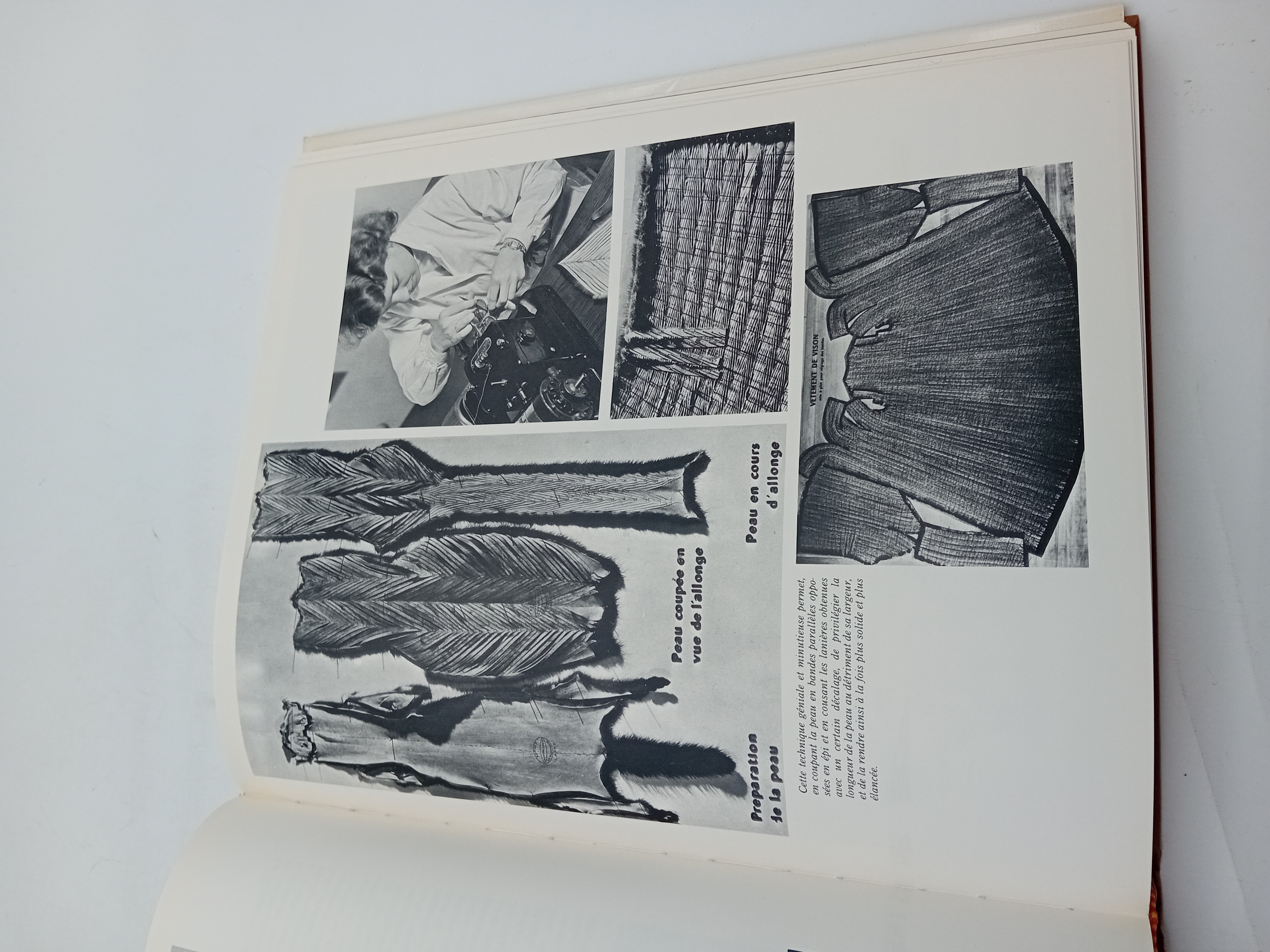 L'histoire De La Fourrure Robert Delort (BL918)