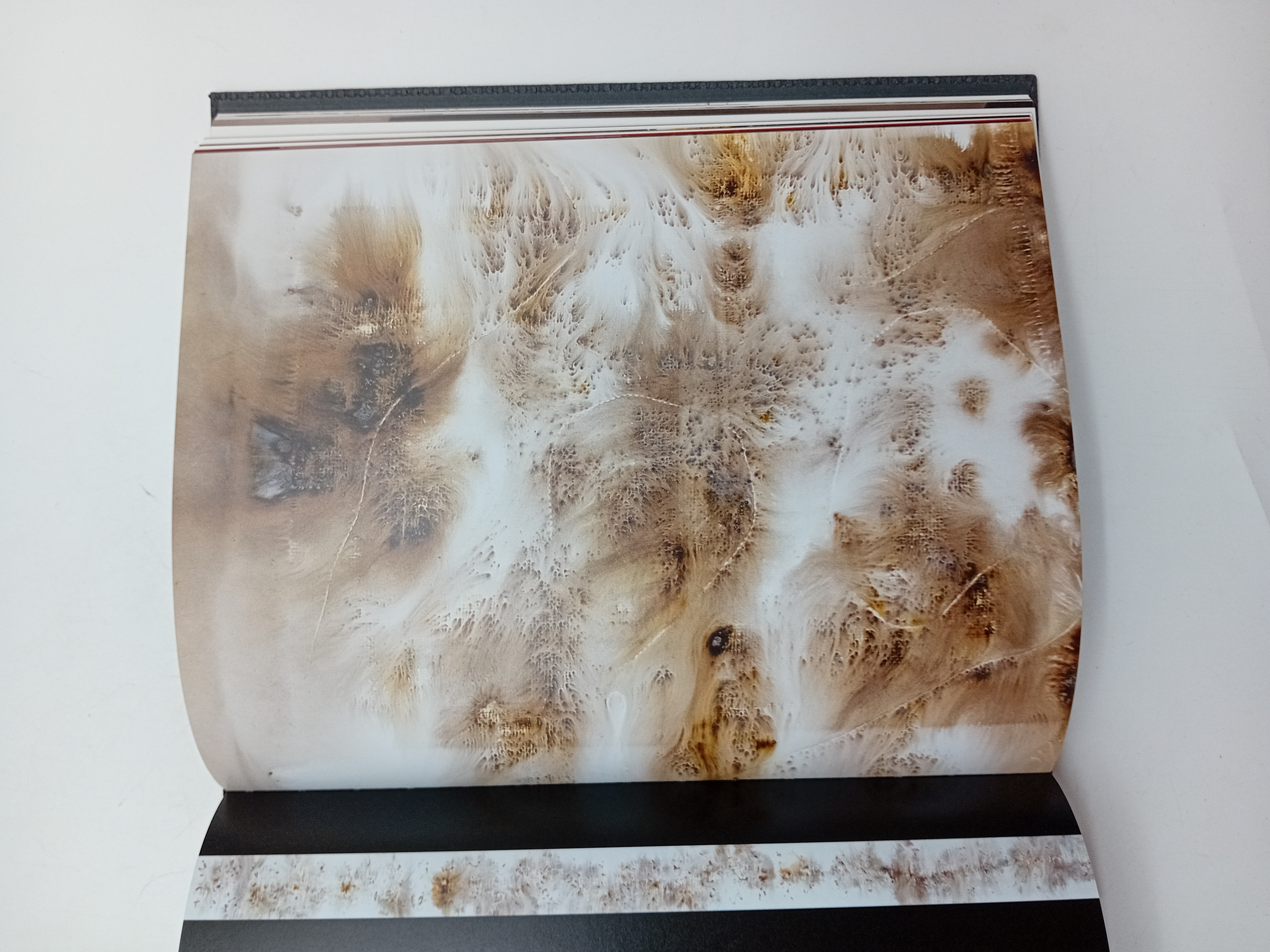 Livre D'art Jean Boghossian (BL930)