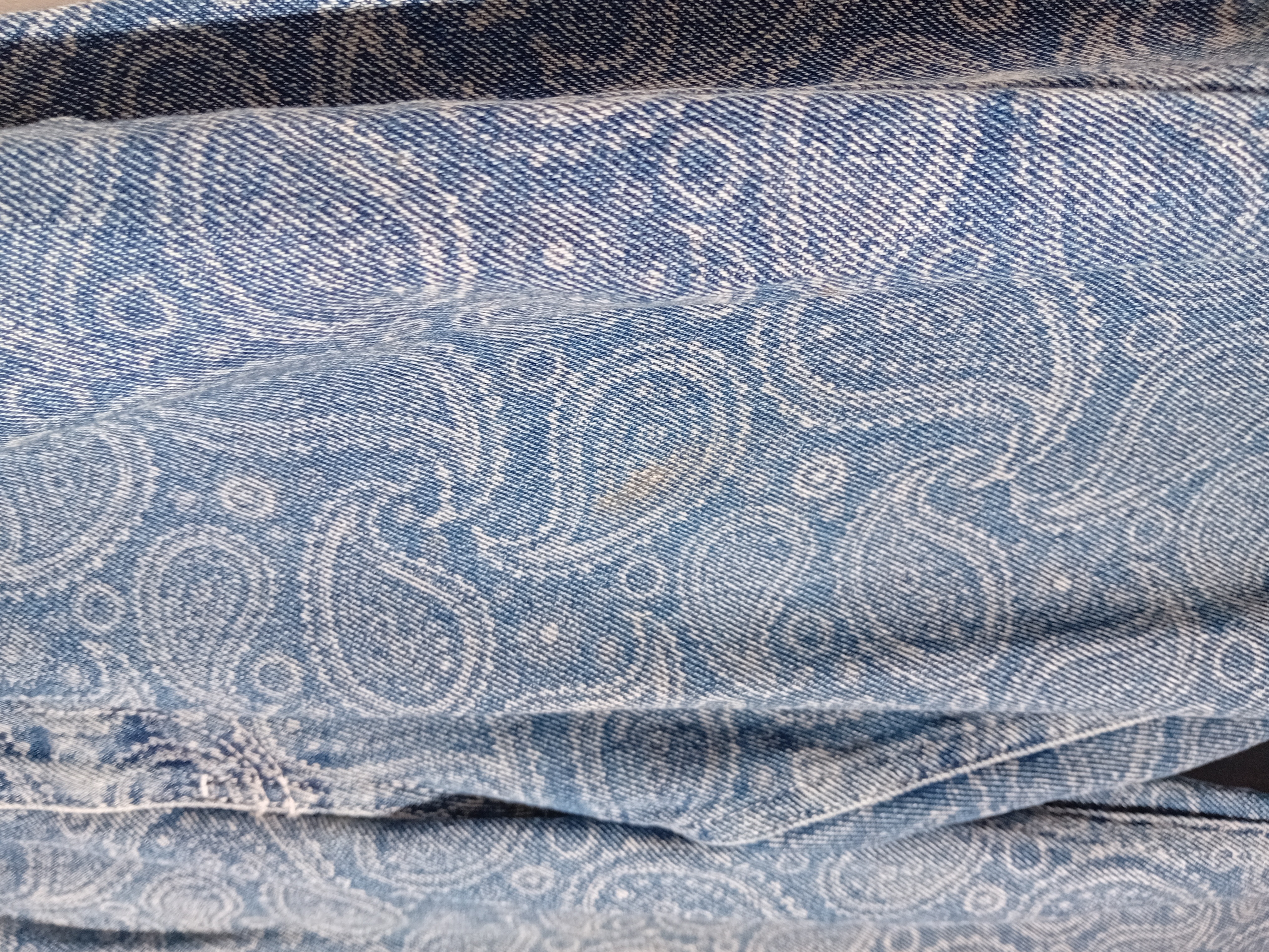Jean Bleu Paisley Ragged Jeans