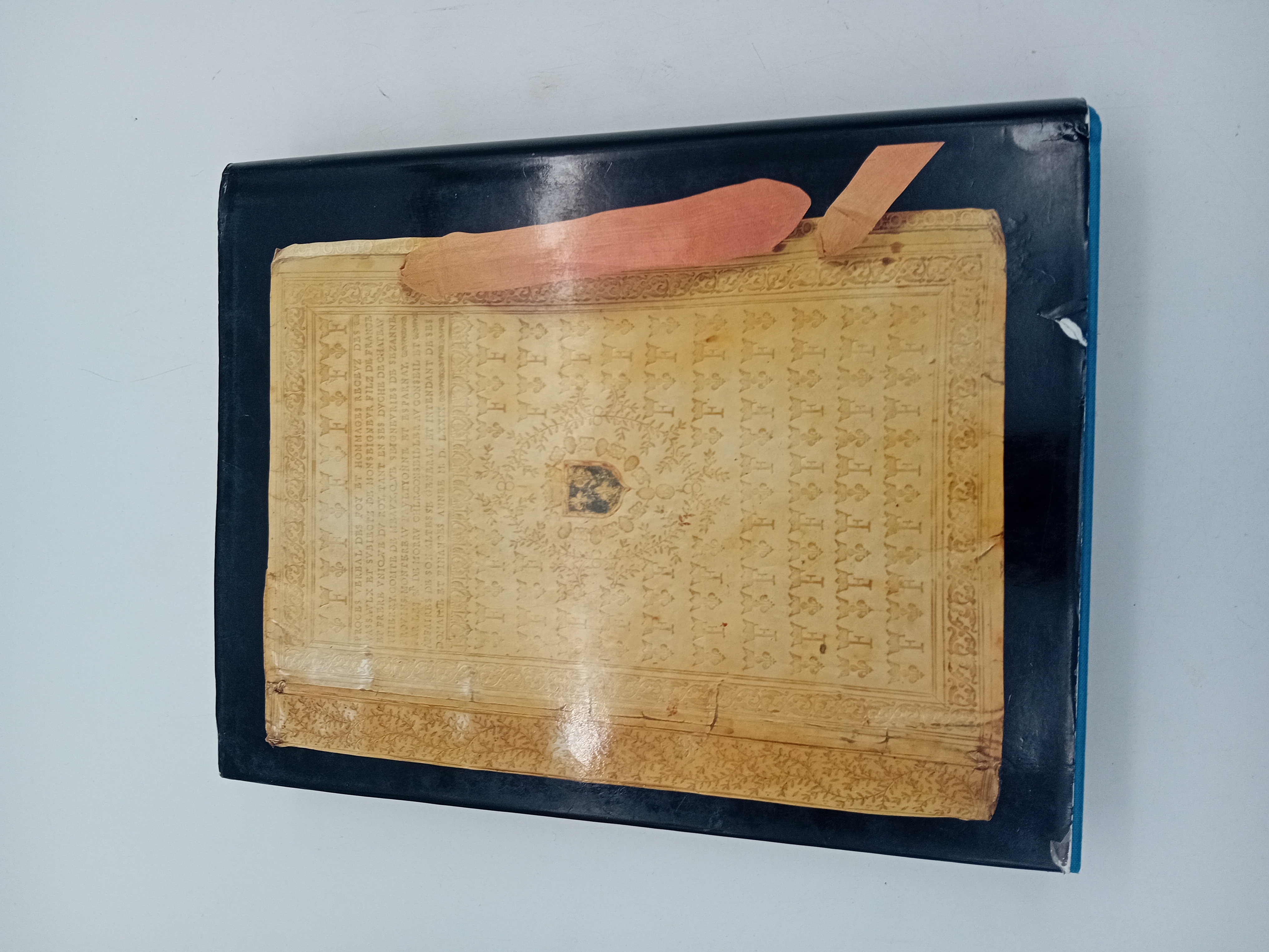 Livre D Art Livres Precieux Patrick Et Elisabeth Sourget (BL938)