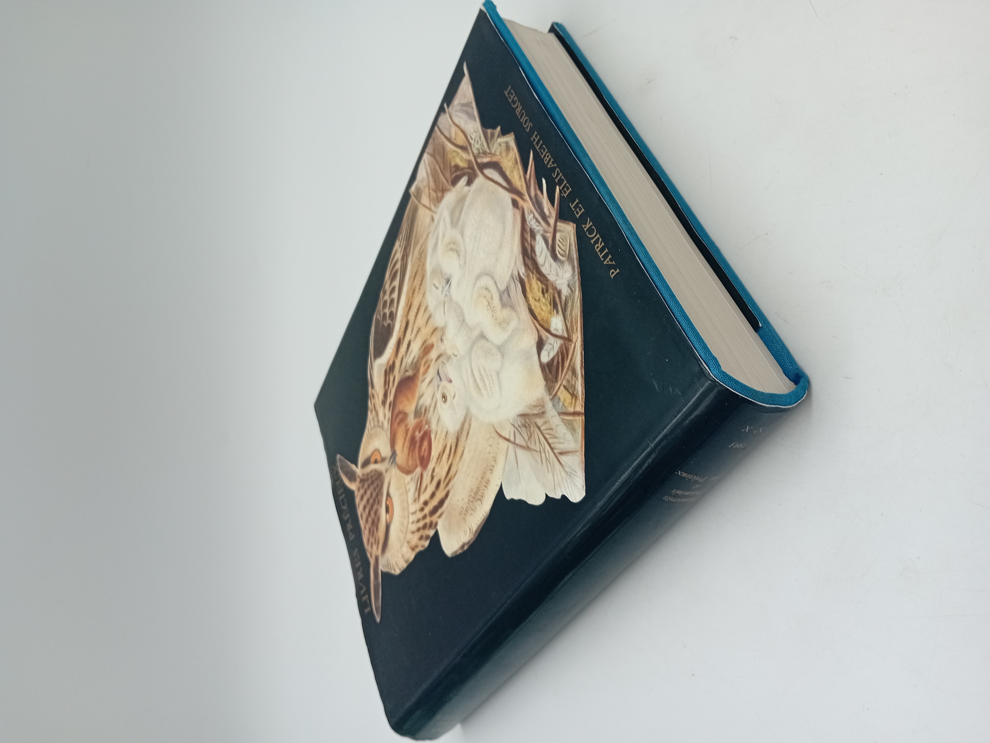 Livre D Art Livres Precieux Patrick Et Elisabeth Sourget (BL938)