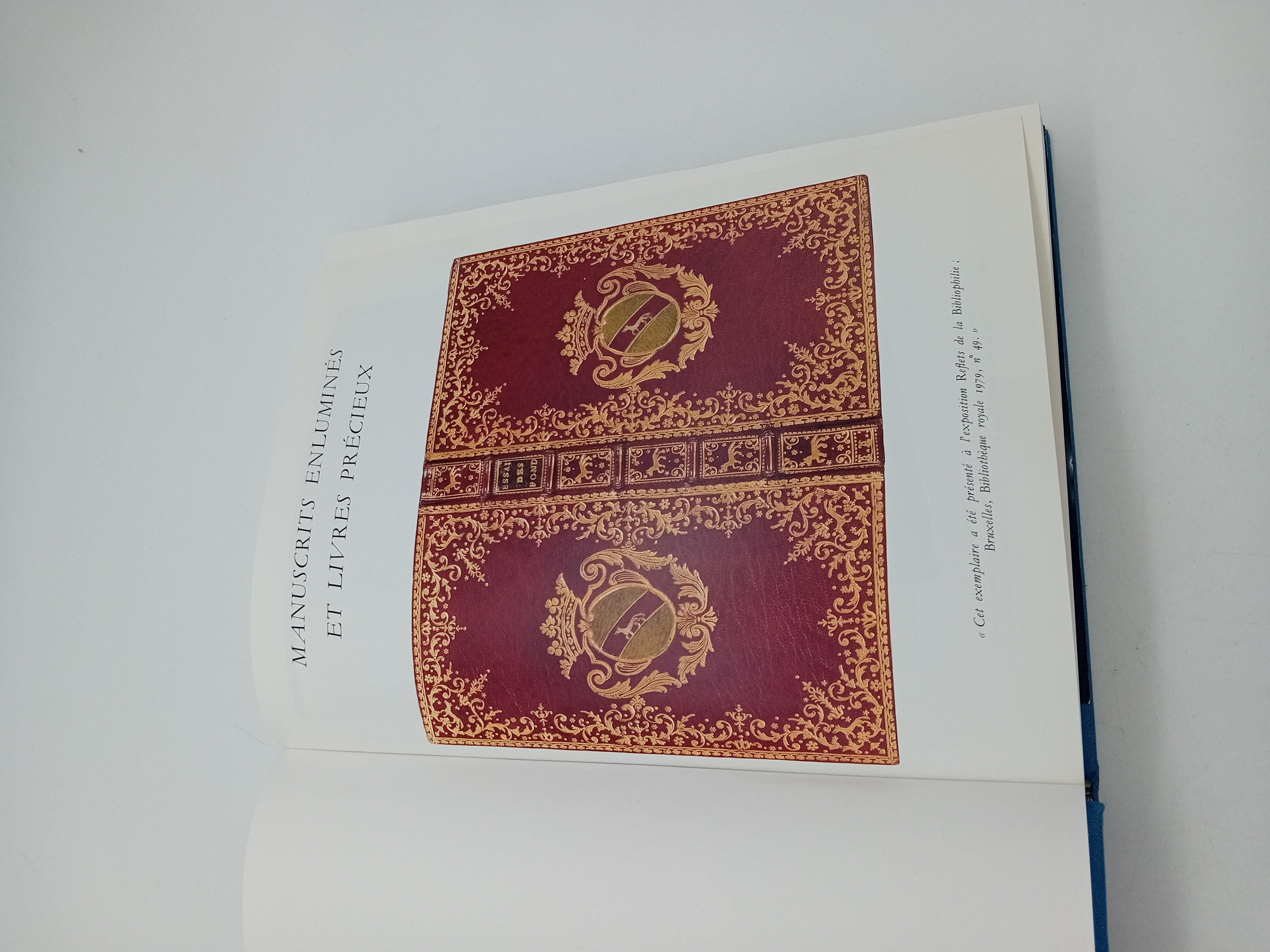 Livre D Art Livres Precieux Patrick Et Elisabeth Sourget (BL938)