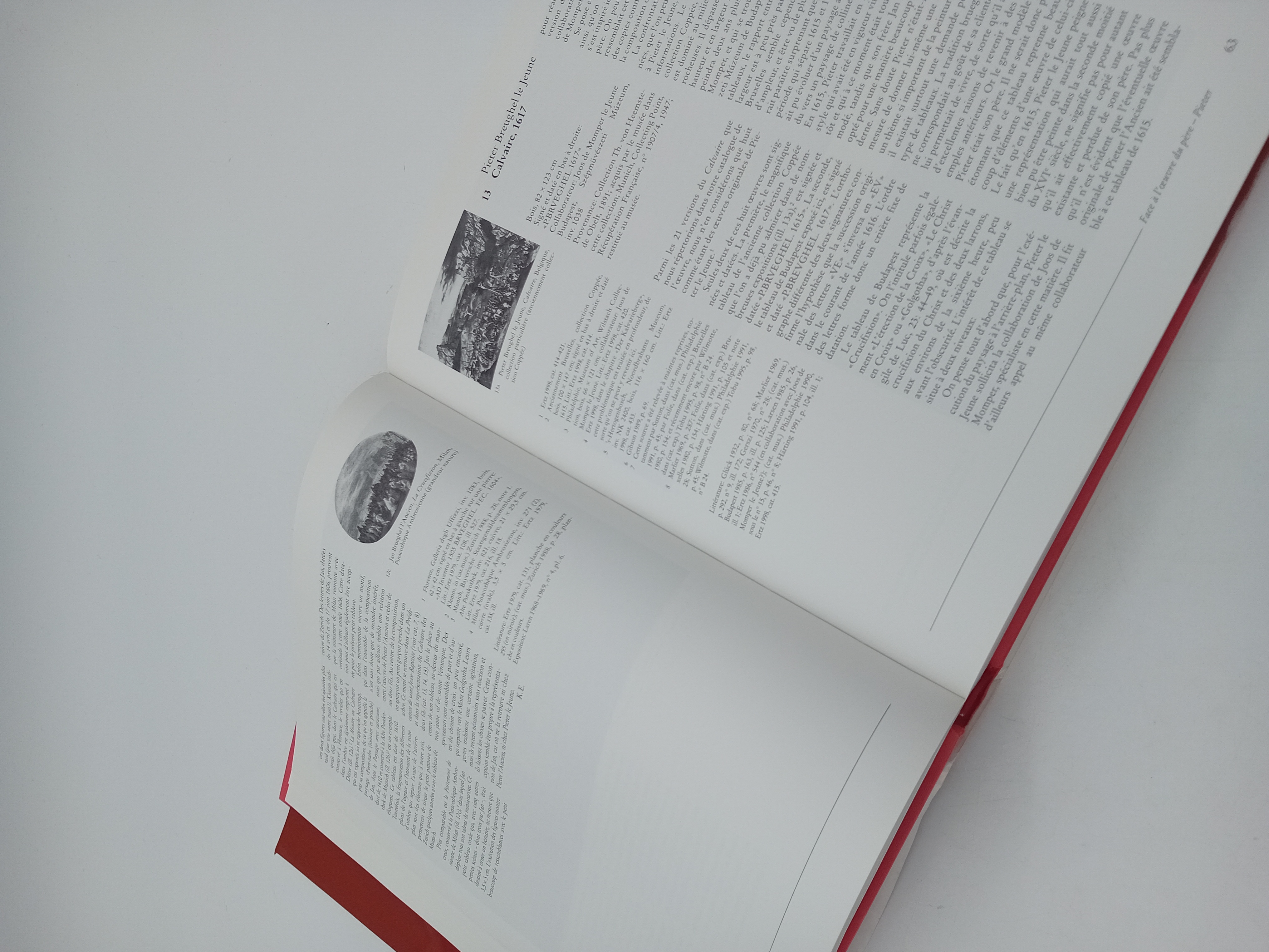Livre Art Brueghel Luca Verlag Lingen (BL943)