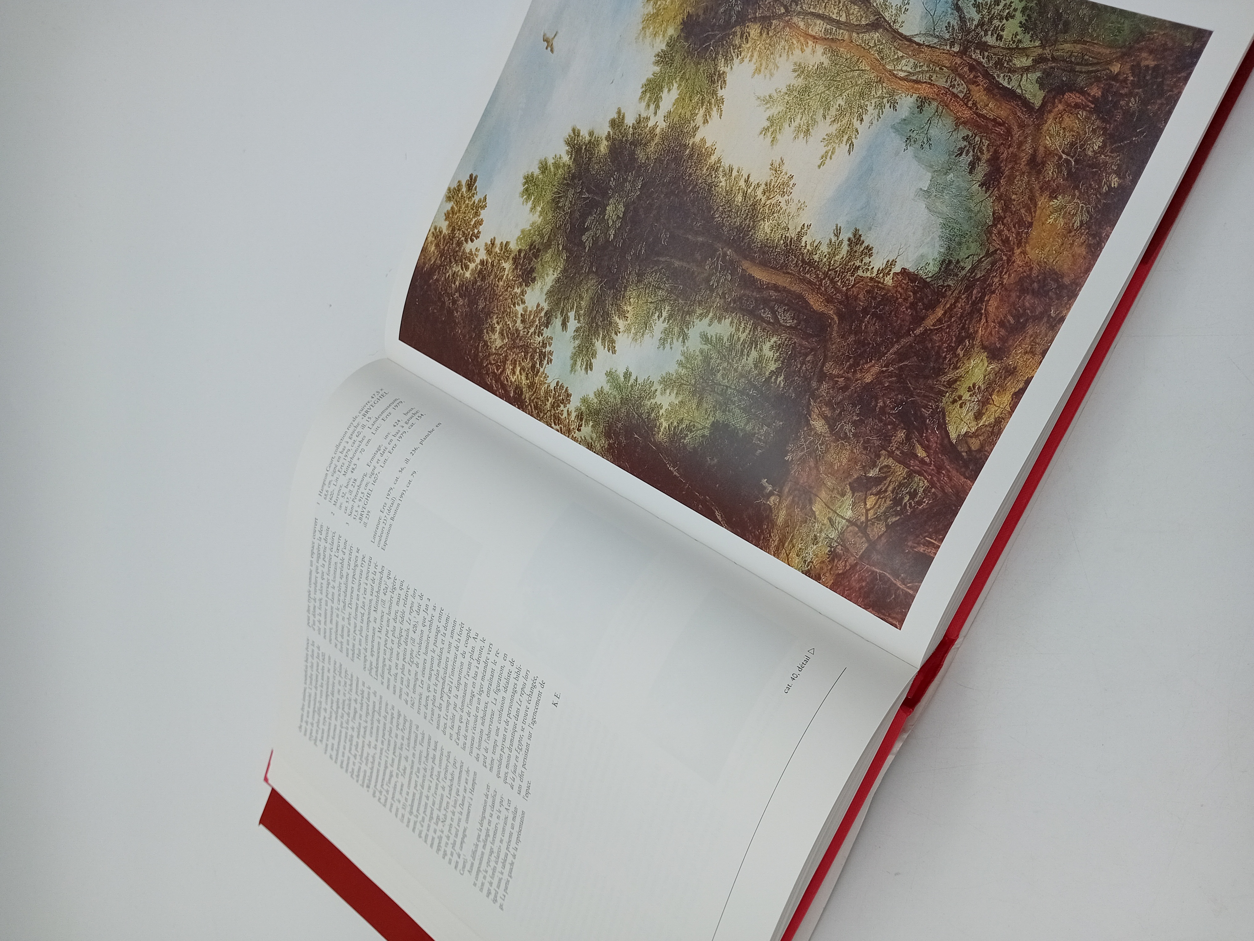 Livre Art Brueghel Luca Verlag Lingen (BL943)