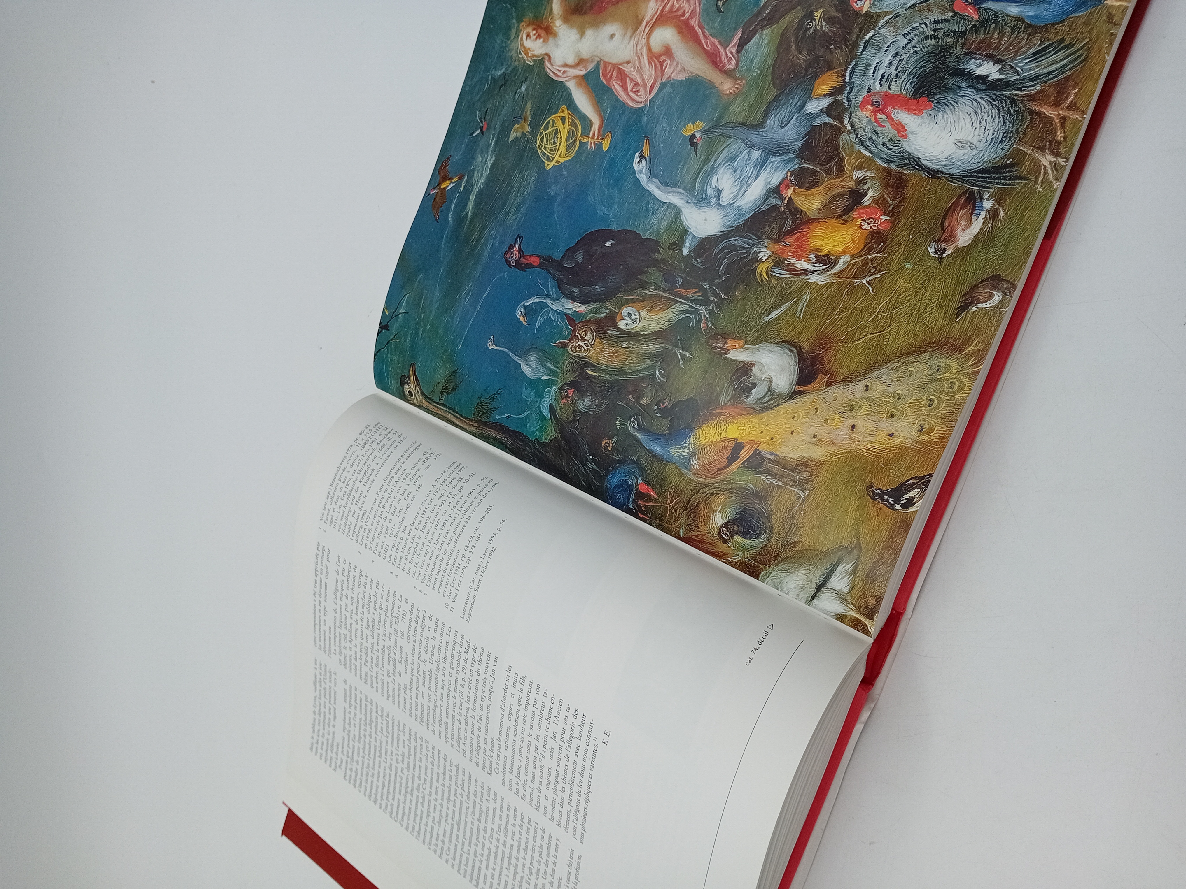 Livre Art Brueghel Luca Verlag Lingen (BL943)